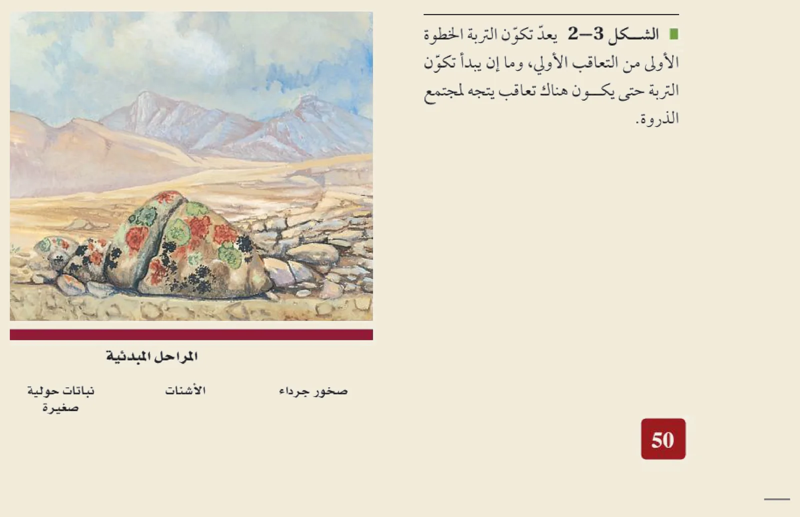 التعاقب البيئي الأوّلي (الشكل ٢‑٣ من كتاب علم البيئة): يبدأ على صخورٍ جرداء بلا تربة، فتستوطنها الأشناتُ (أنواعٌ رائدة) التي تُكوّن التربةَ تدريجيًّا، فتنمو نباتاتٌ حوليةٌ صغيرة حتى يتّجه المجتمعُ نحو مجتمع الذروة.