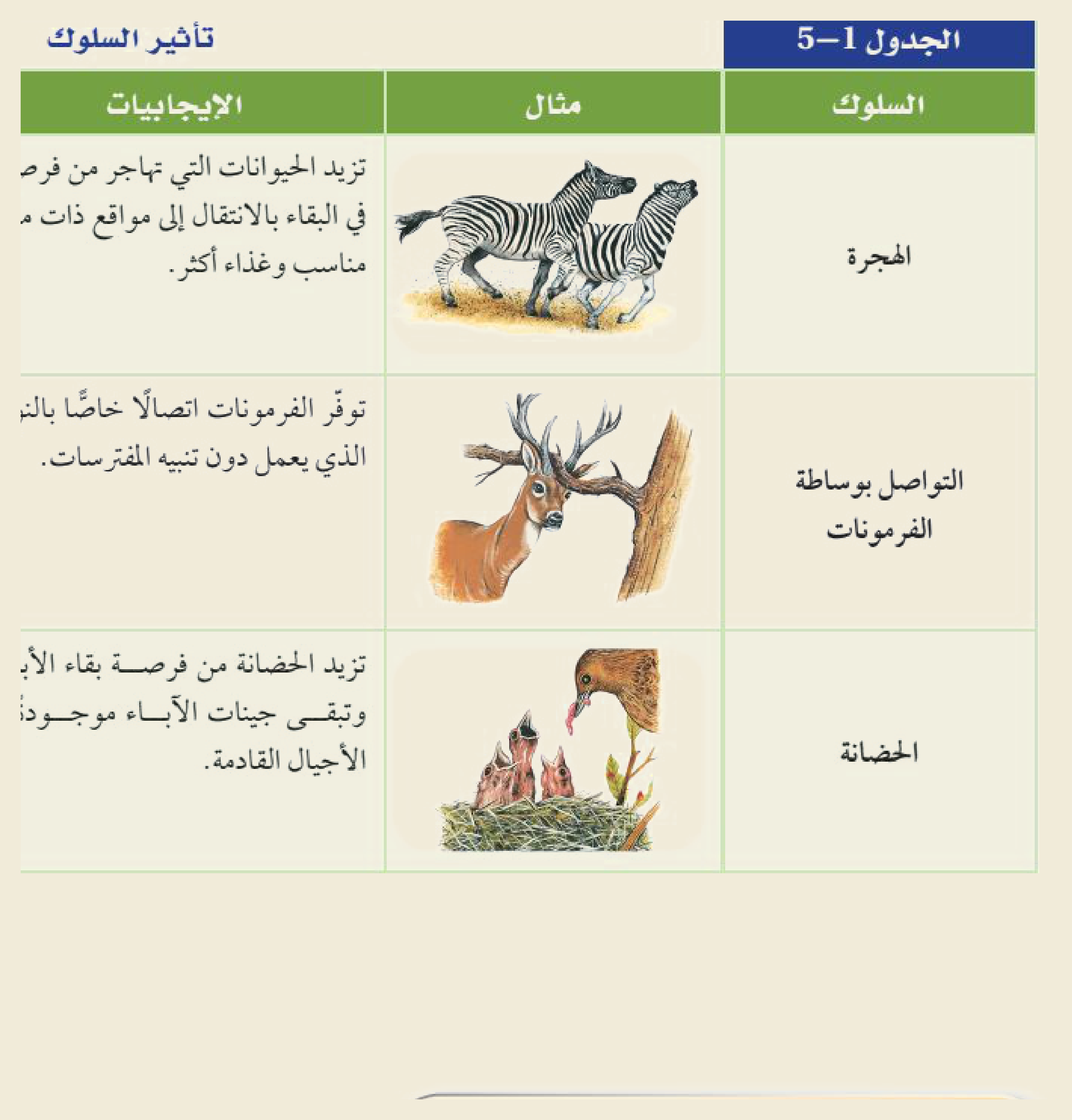 تأثير السلوك (الجدول ١‑٥، كتاب علم البيئة): للسلوكيات إيجابيّاتٌ وسلبيّات — الهجرةُ ترفع فرصةَ البقاء بالانتقال إلى مواقعَ أنسب، والتواصلُ بالفرمونات يبلّغ دون تنبيه المفترسات، والحضانةُ ترفع فرصةَ بقاء الأبناء.