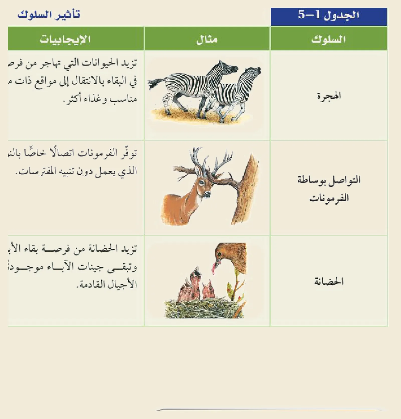 تأثير السلوك (الجدول ١‑٥، كتاب علم البيئة): للسلوكيات إيجابيّاتٌ وسلبيّات — الهجرةُ ترفع فرصةَ البقاء بالانتقال إلى مواقعَ أنسب، والتواصلُ بالفرمونات يبلّغ دون تنبيه المفترسات، والحضانةُ ترفع فرصةَ بقاء الأبناء.