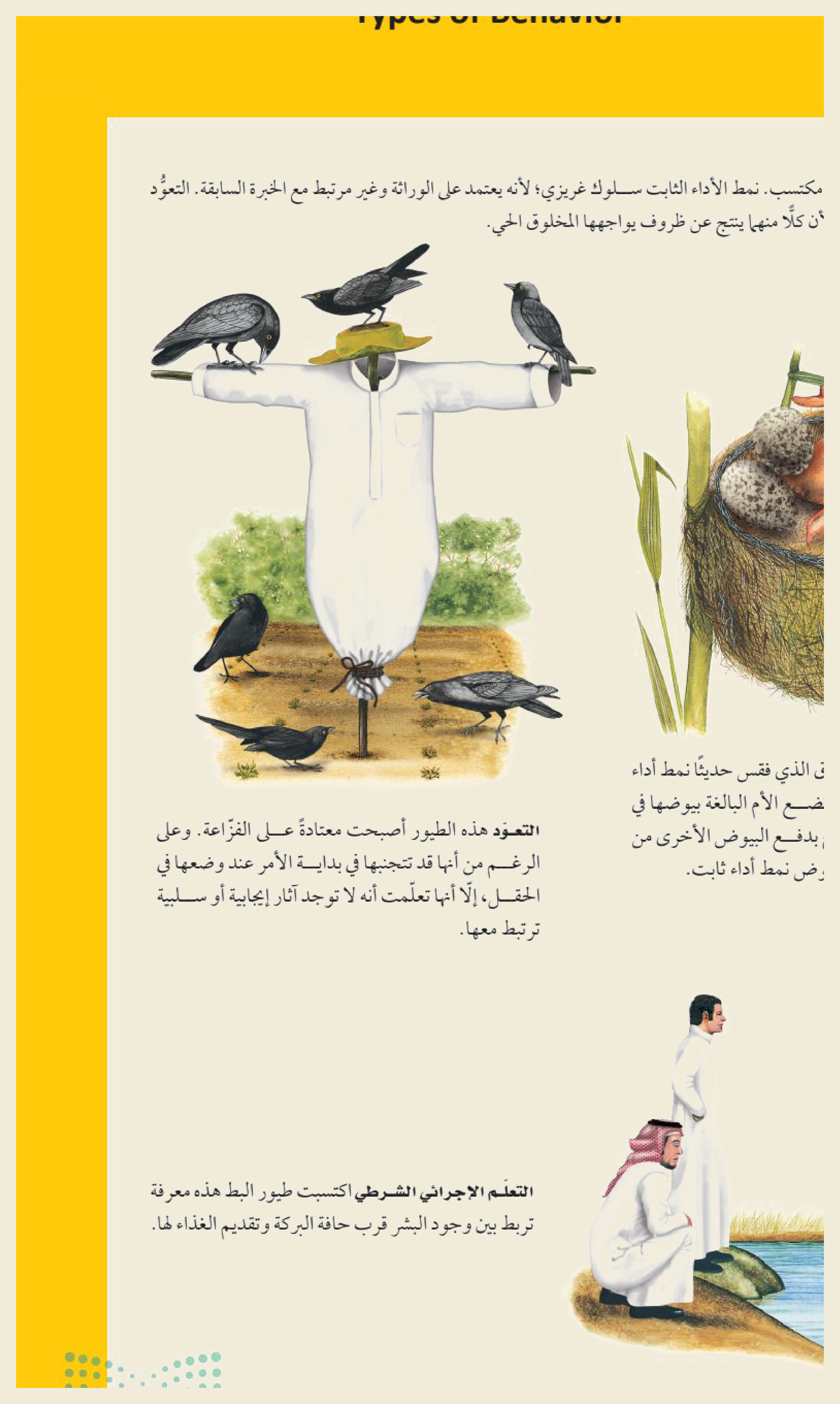 أنواع السلوك (الشكل ٤‑٥، كتاب علم البيئة): يعتاد الطيرُ الفزاعةَ فلا يخافها (تعوّد)، ويؤدّي صغيرُ الوقواق نمطَ أداءٍ ثابتًا غريزيًّا بدفع بيض الطيور الأخرى من العشّ، وتتعلّم البطُّ ربطَ وجود الإنسان بالطعام (تعلّمٌ إجرائيٌّ شرطي).