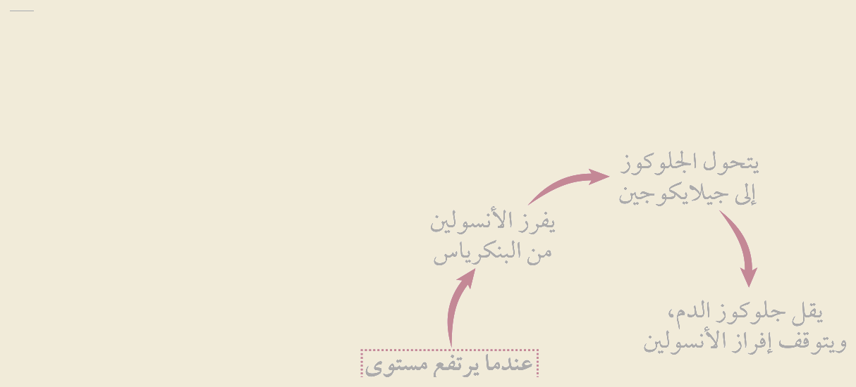 التغذية الراجعة السلبية لسكّر الدم (الشكل ٤‑١٩ من كتاب الأحياء): عند ارتفاع الجلوكوز يُفرَز الأنسولينُ فيخزّنه جلايكوجينًا حتى يعود للمعدّل، وعند انخفاضه يُفرَز الجلوكاجونُ فيحرّر الجلوكوز — فيتأرجح المستوى حول نقطة الضبط.